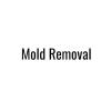 brampton mold removal - 