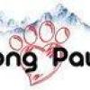 Long Paws - 220 The Vale Business Directory